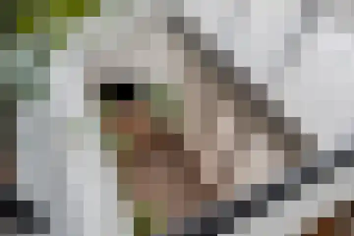 Waterfront 45 Eindhoven thumbnail 25