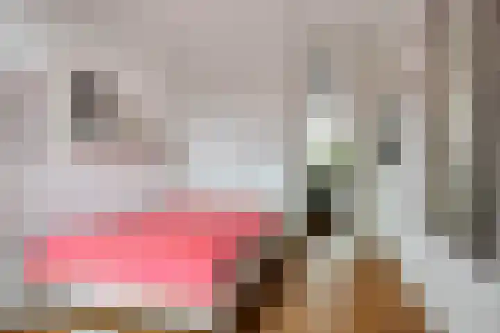 Waterfront 45 Eindhoven thumbnail 26