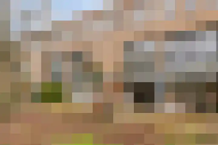 Waterfront 45 Eindhoven thumbnail 42