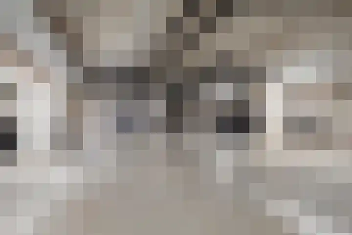 Waterfront 45 Eindhoven thumbnail 47