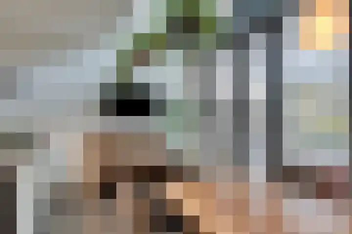 Waterfront 45 Eindhoven thumbnail 8