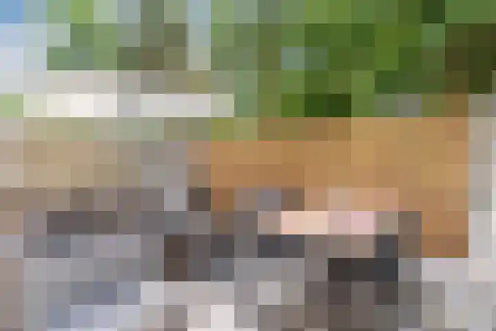 Waterfront 67 Eindhoven thumbnail 32