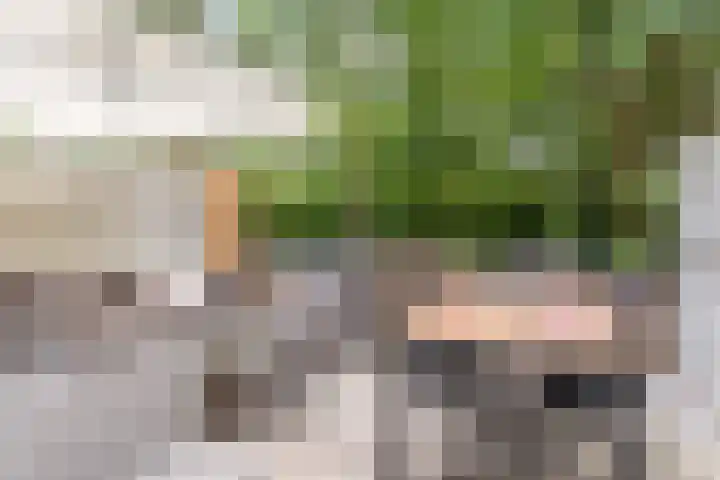 Waterfront 67 Eindhoven thumbnail 34