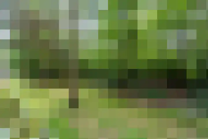 Waterfront 67 Eindhoven thumbnail 36
