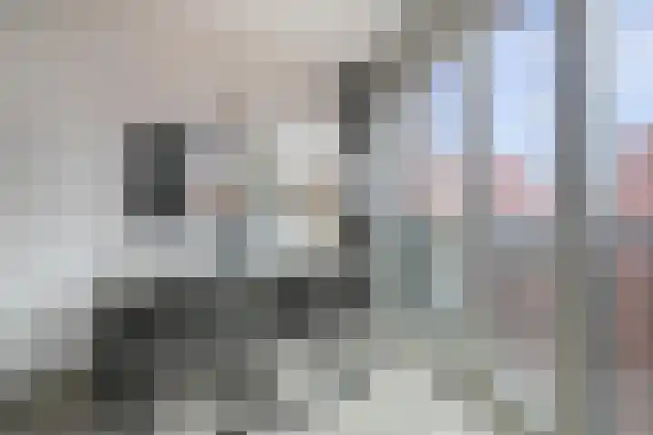 Waterhof 27 Heemstede thumbnail 8
