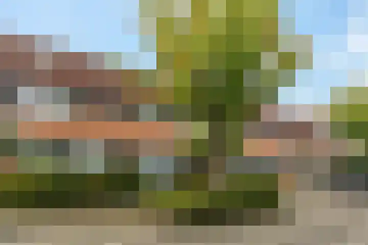Waterjuffer 12 Enschede thumbnail 36
