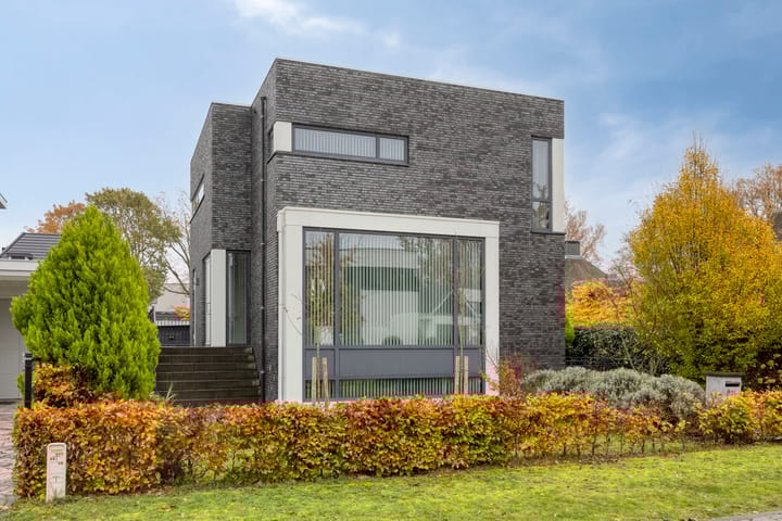 Waterjuffer 2 in Son en Breugel foto