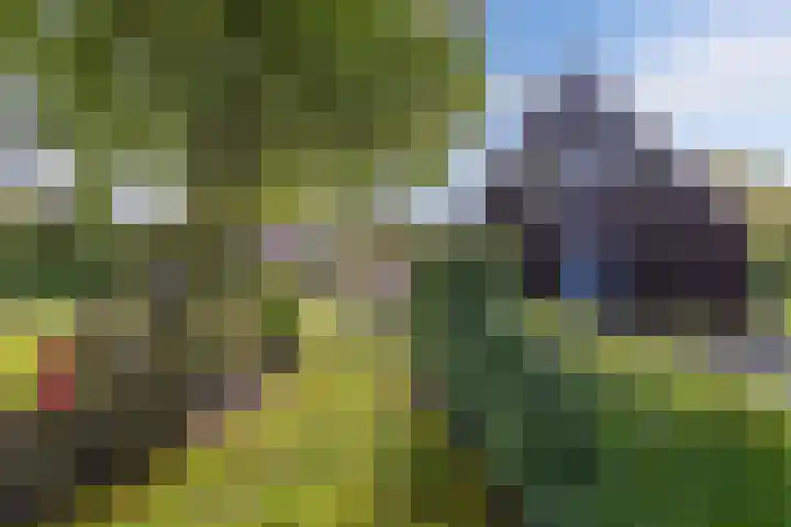 Waterkant 73 Ens thumbnail 10