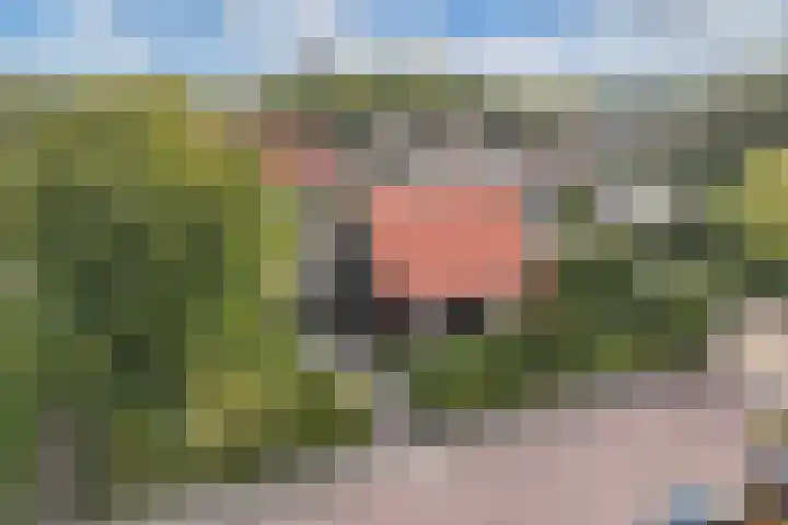 Waterkant 73 Ens thumbnail 13