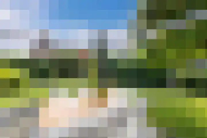 Waterkant 73 Ens thumbnail 35