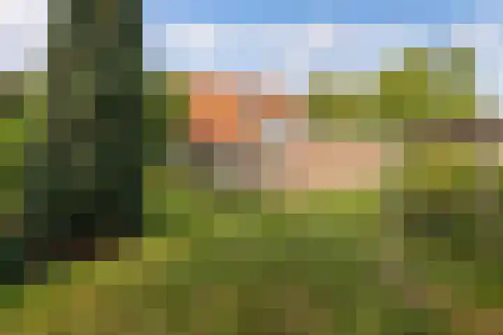 Waterkant 73 Ens thumbnail 37