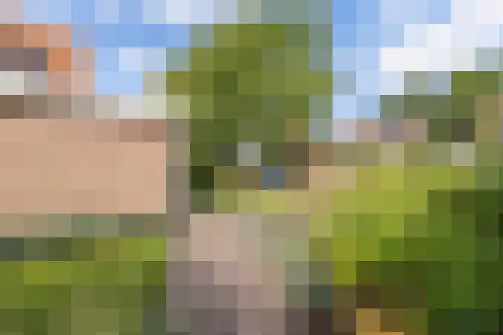 Waterkant 73 Ens thumbnail 40