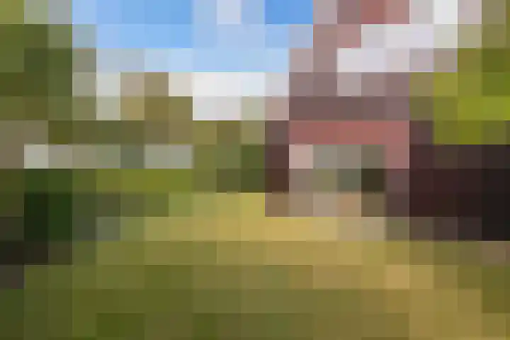 Waterkant 73 Ens thumbnail 42