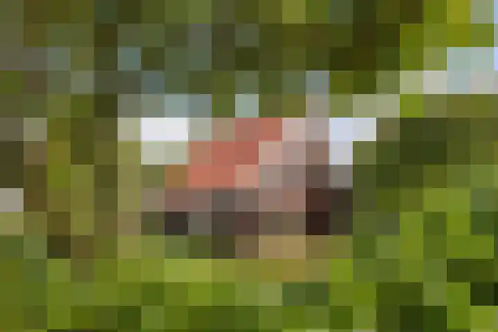 Waterkant 73 Ens thumbnail 44