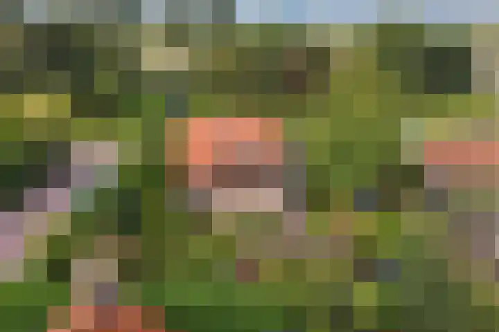 Waterkant 73 Ens thumbnail 46