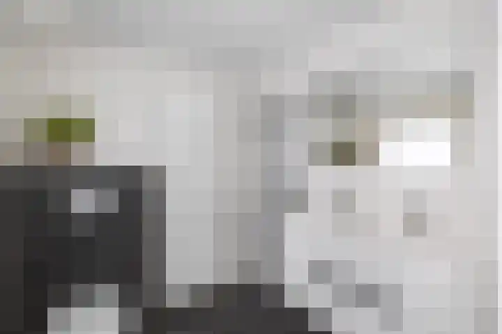 Waterkant 73 Ens thumbnail 60