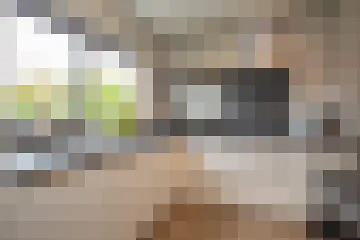 Waterkering 1 Wierden thumbnail 13