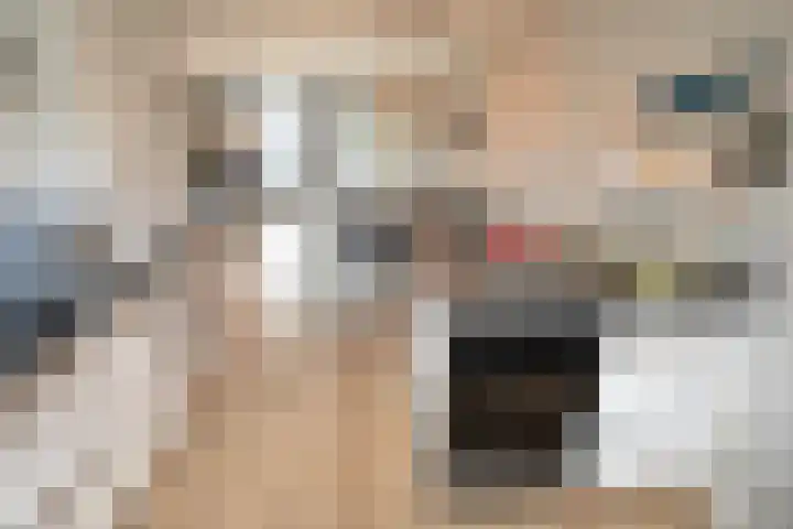 Waterkering 1 Wierden thumbnail 14