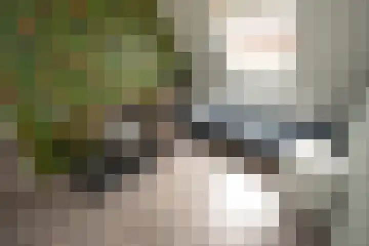 Waterkering 1 Wierden thumbnail 28