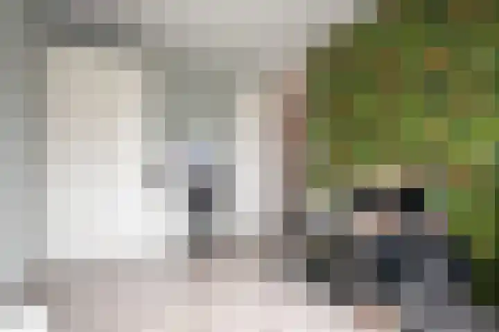 Waterkering 1 Wierden thumbnail 29