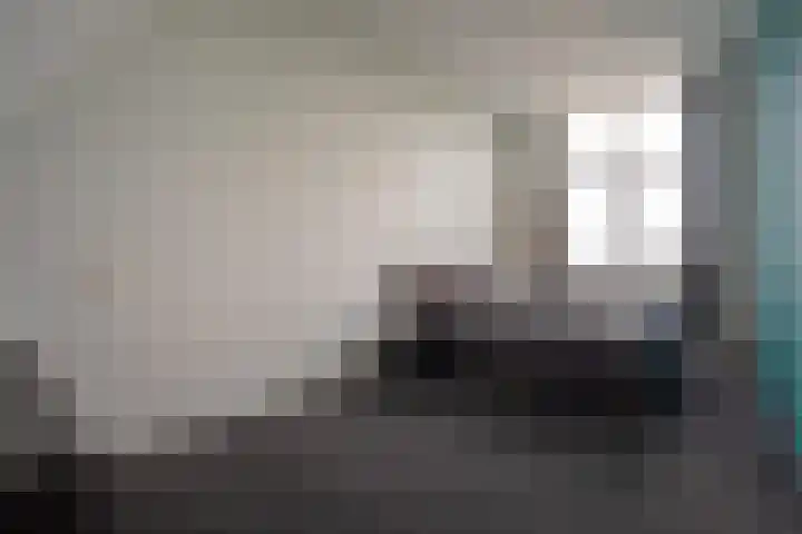 Waterkering 1 Wierden thumbnail 39