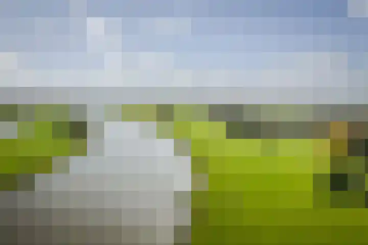 Waterkering 1 Wierden thumbnail 40