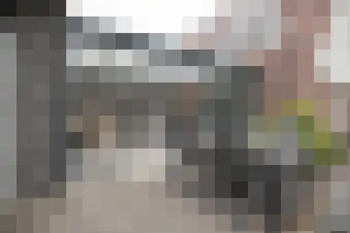 Waterkering 1 Wierden thumbnail 46