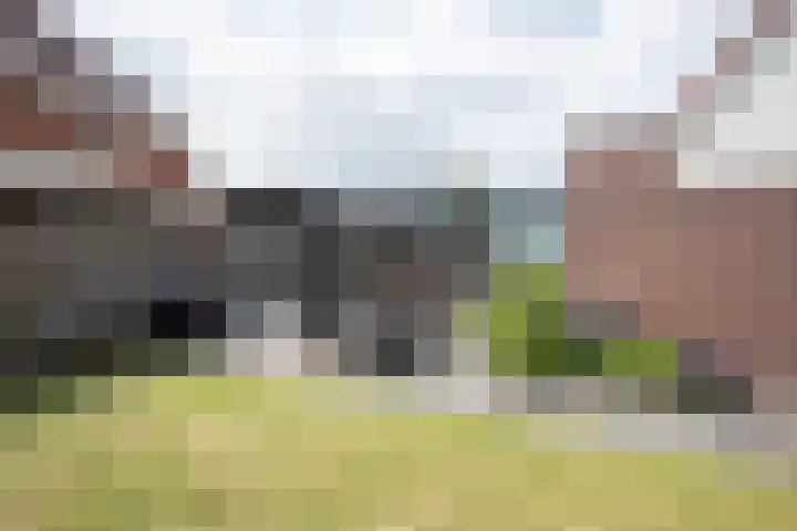Waterkering 1 Wierden thumbnail 48