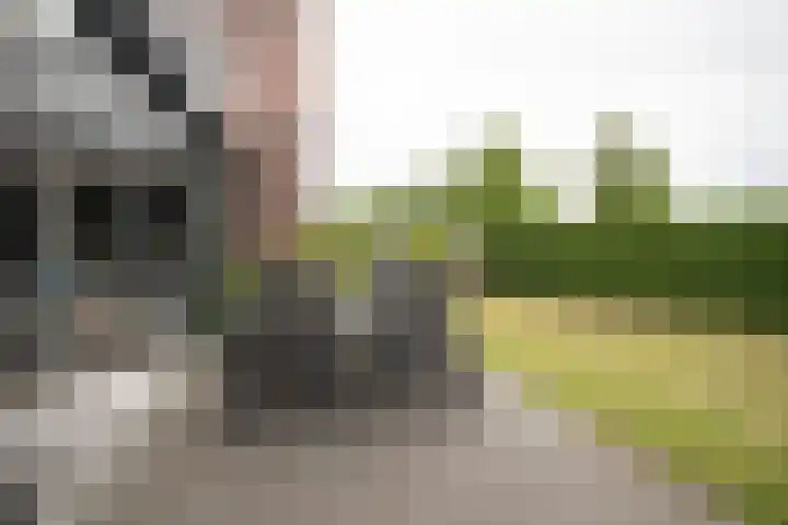 Waterkering 1 Wierden thumbnail 49