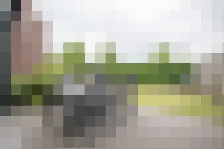 Waterkering 1 Wierden thumbnail 50