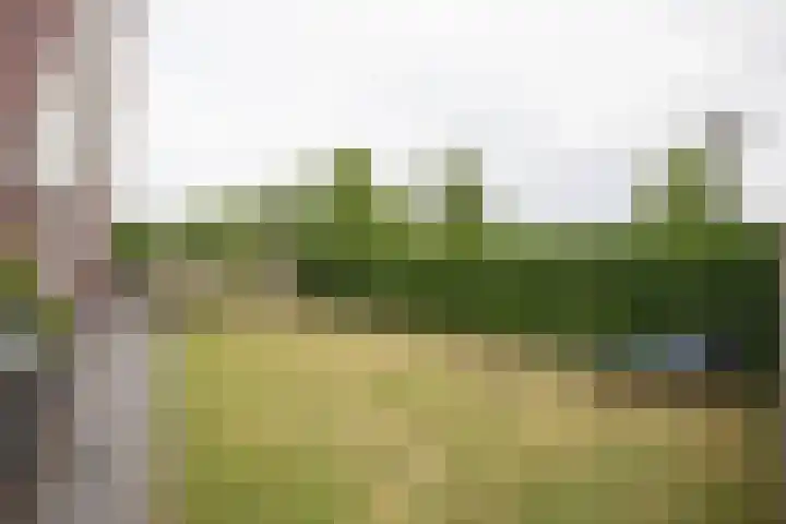 Waterkering 1 Wierden thumbnail 51