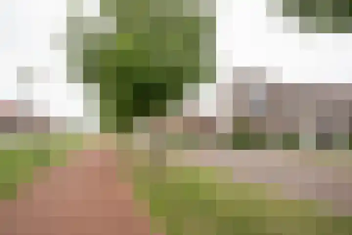 Waterkering 1 Wierden thumbnail 54