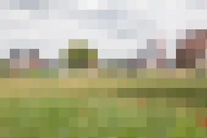 Waterkering 1 Wierden thumbnail 56