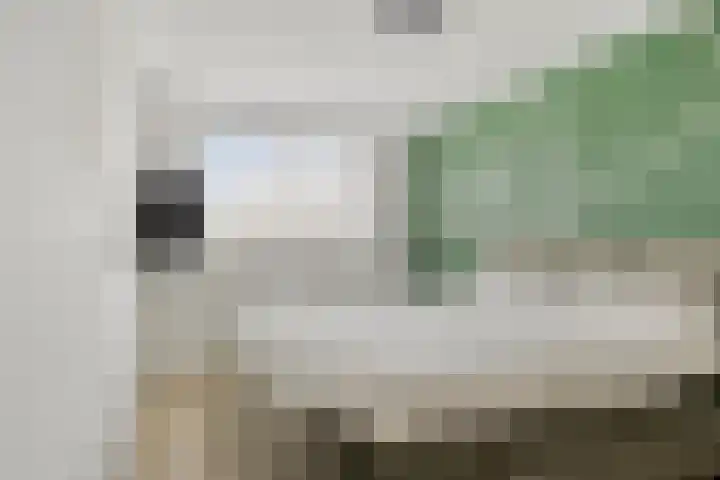 Waterkers 14 Kampen thumbnail 17