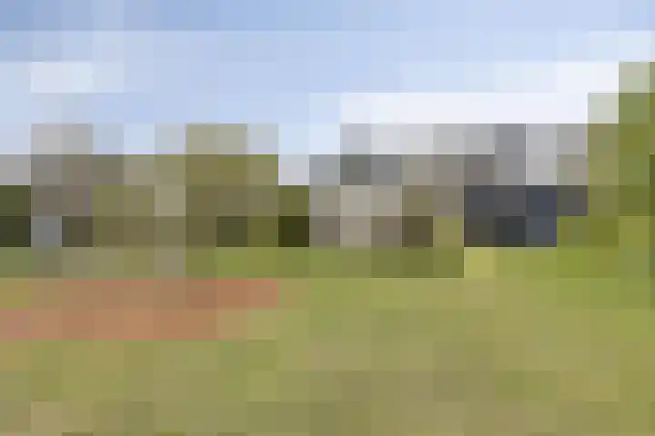 Waterkers 14 Kampen thumbnail 34