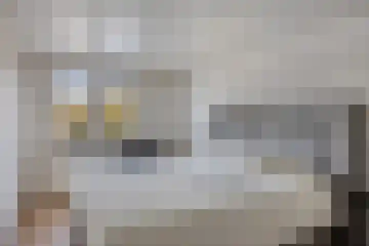 Waterkers 15 Zwaag thumbnail 12
