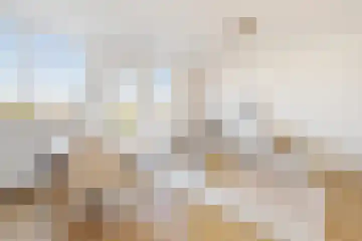 Waterkers 15 Zwaag thumbnail 14
