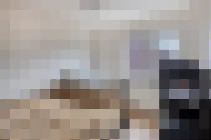 Waterkers 15 Zwaag thumbnail 16