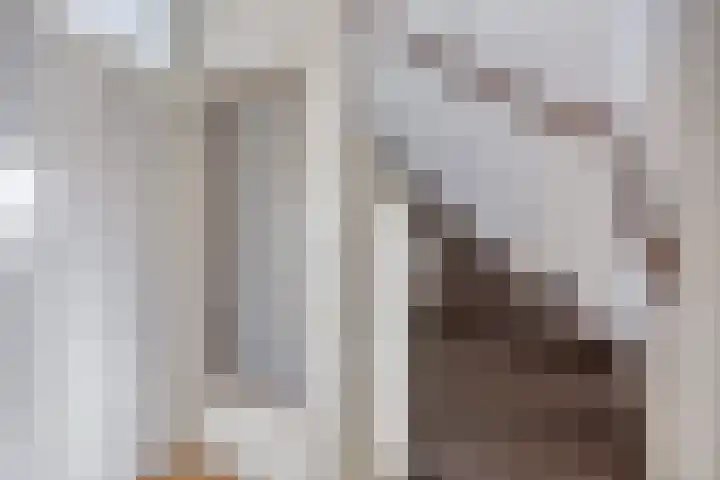 Waterkers 15 Zwaag thumbnail 18