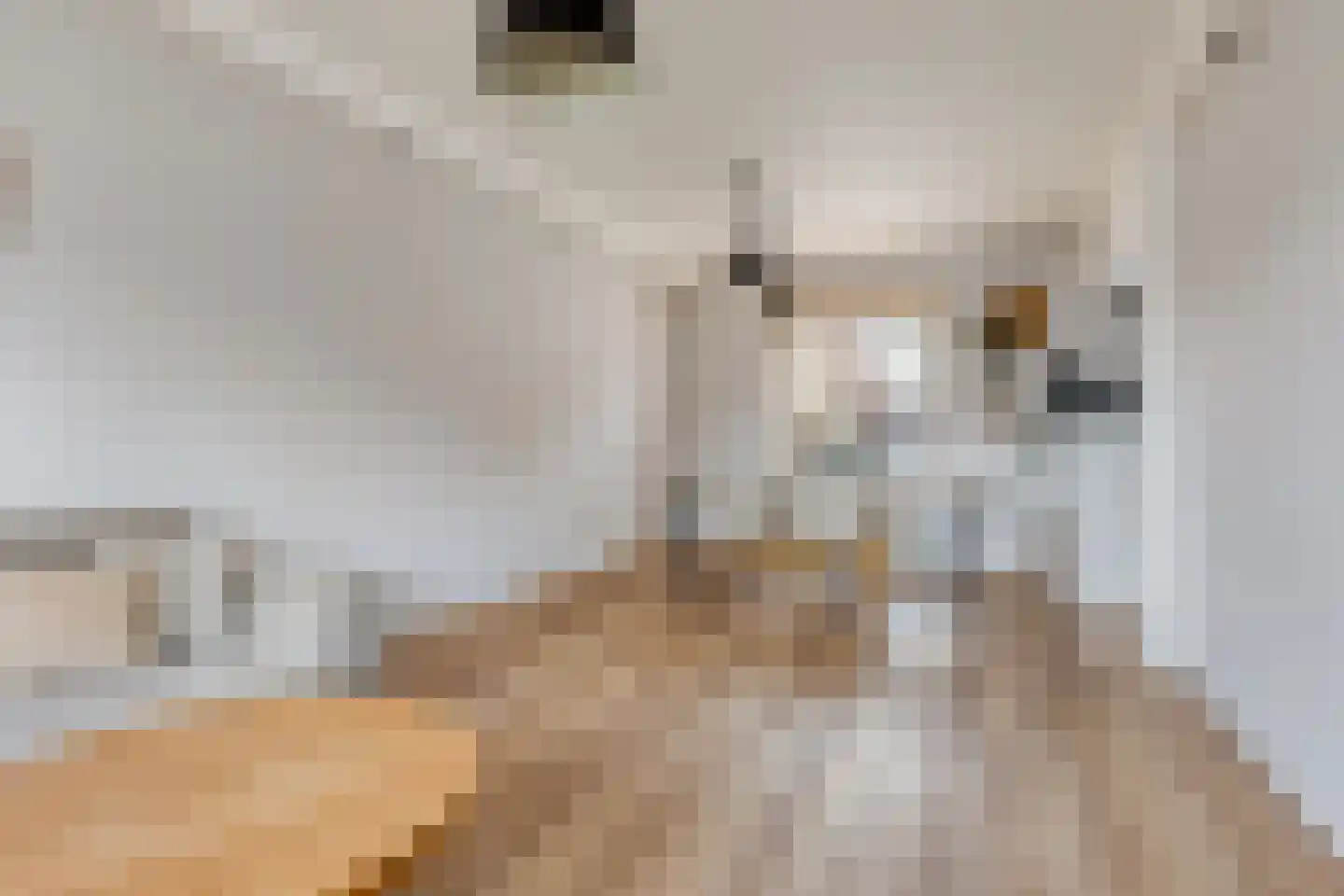 Waterkers 15 Zwaag thumbnail 20