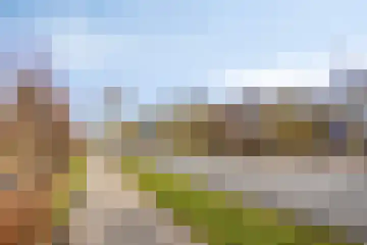 Waterkers 15 Zwaag thumbnail 26