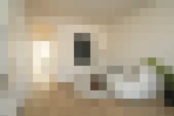 Waterkers 15 Zwaag thumbnail 28