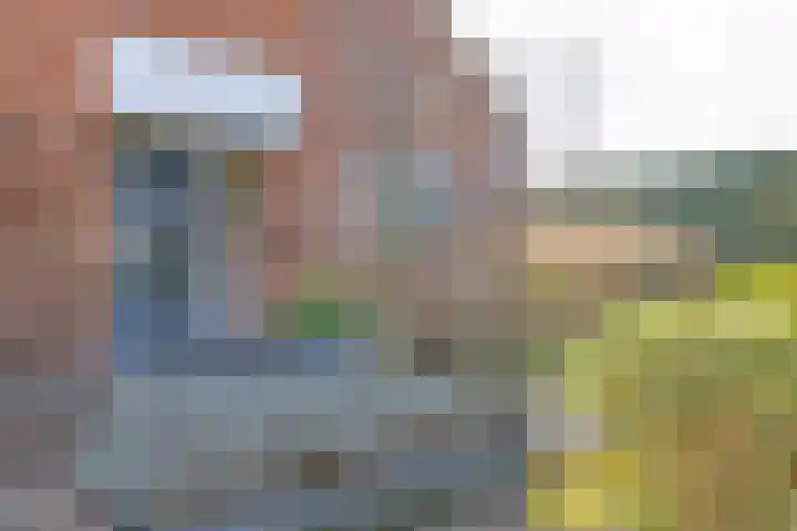 Waterkers 15 Zwaag thumbnail 4