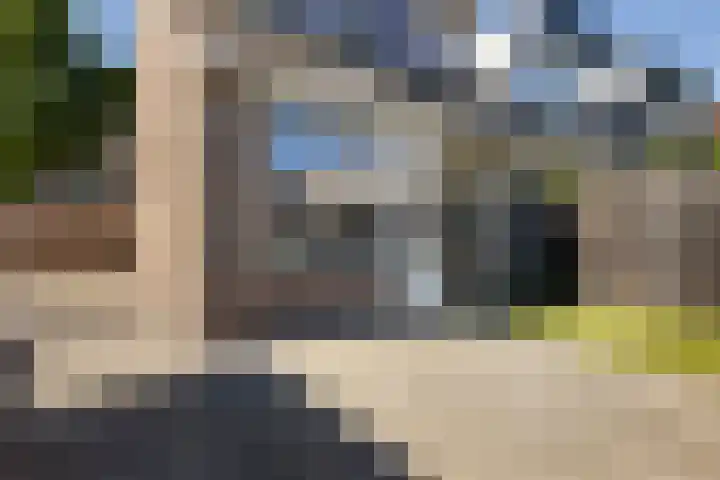 Waterkers 21 Kampen thumbnail 5