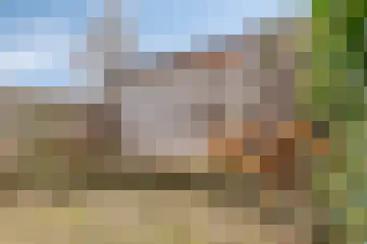 Waterkers 7 Kampen thumbnail 17