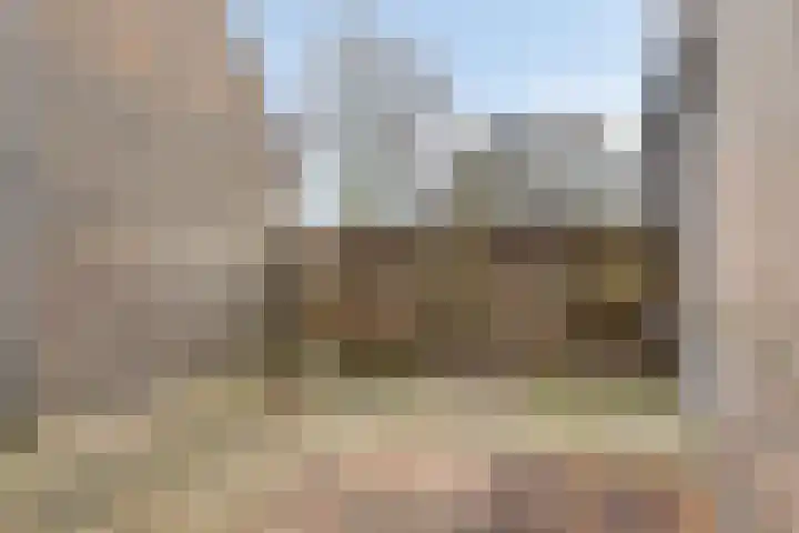 Waterkers 7 Kampen thumbnail 18