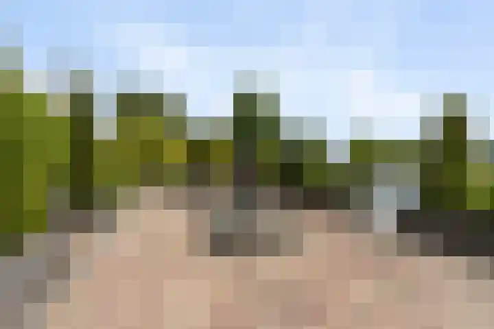 Waterkerslaan 16 Enschede thumbnail 30