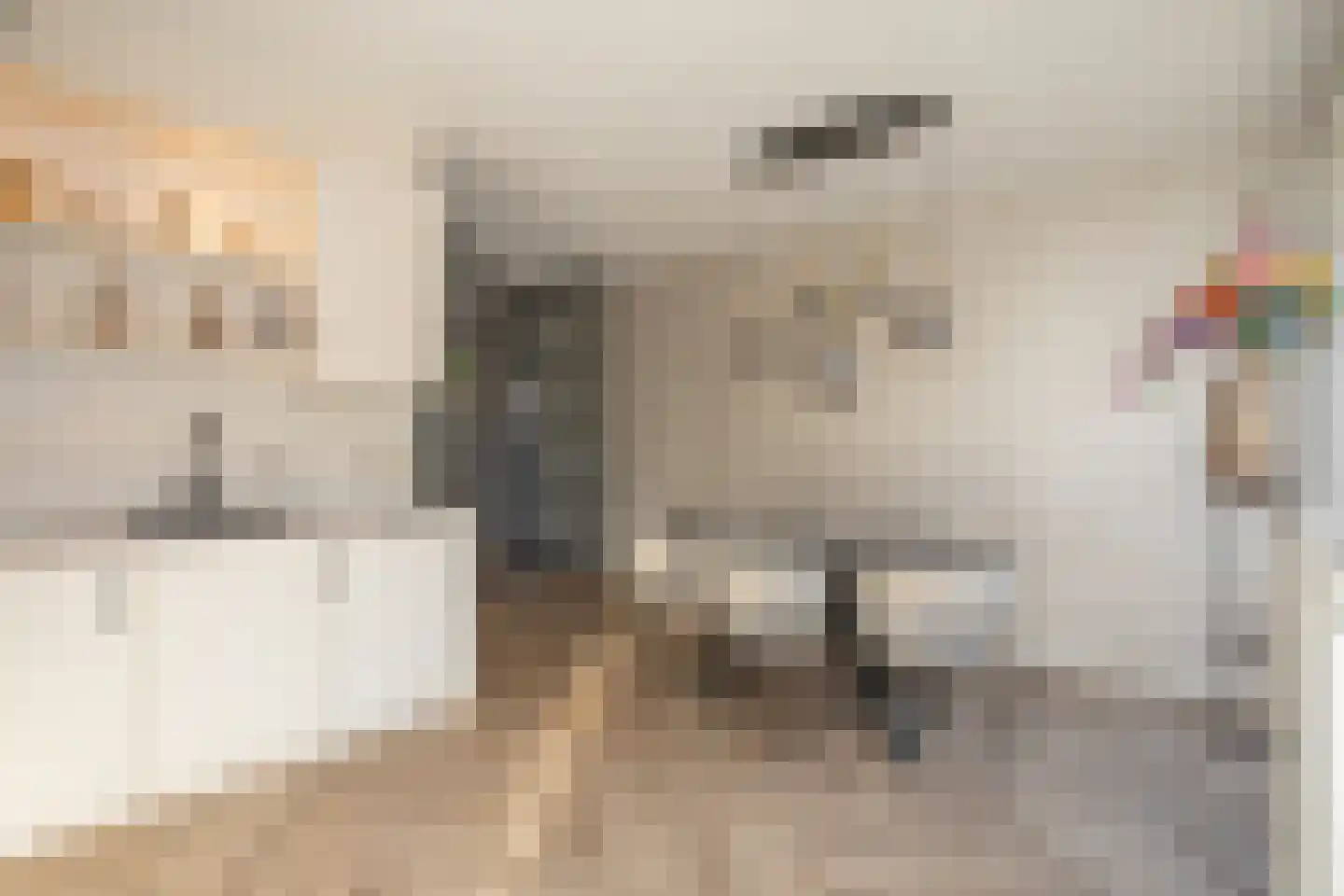 Waterkolk 14 Wierden thumbnail 15