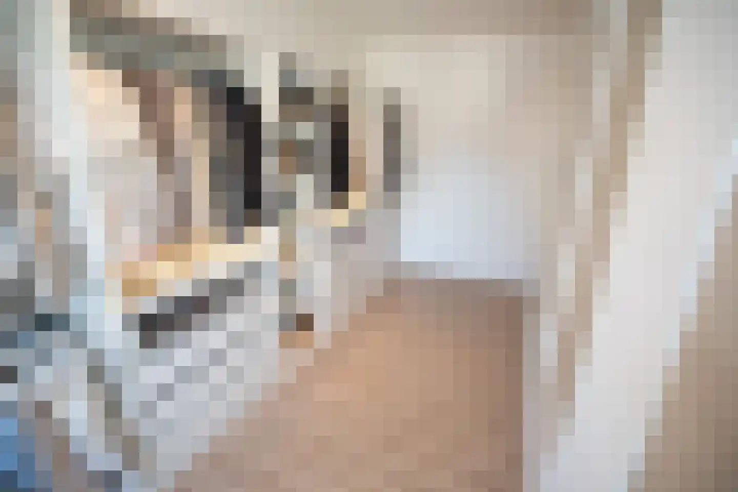 Waterkolk 14 Wierden thumbnail 32