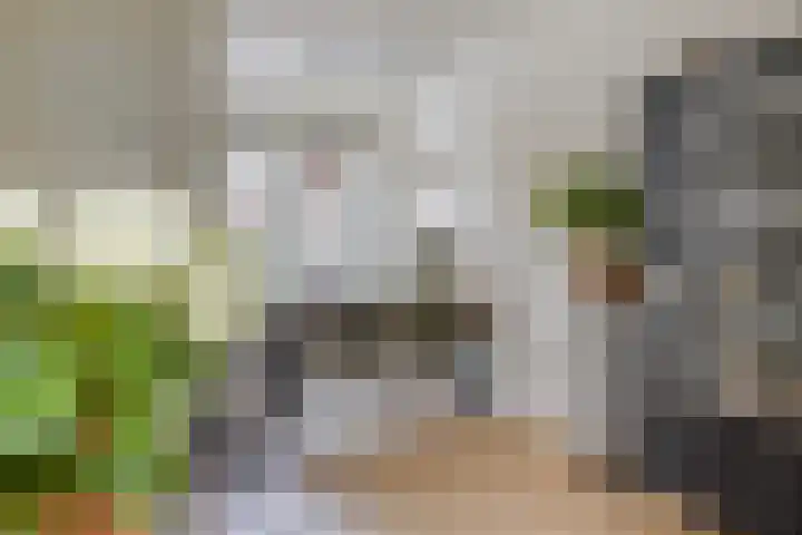 Waterkolk 28 Wierden thumbnail 12